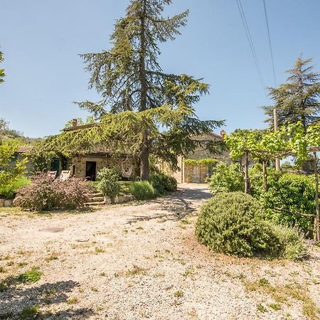 Appartamento Gemma Verde-Tavoleto Кастильоне-д'Орчия Экстерьер фото